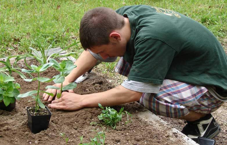 planting 782x500 1