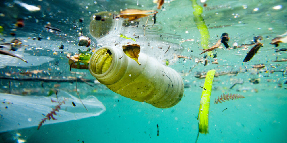water pollution 1000x500 1