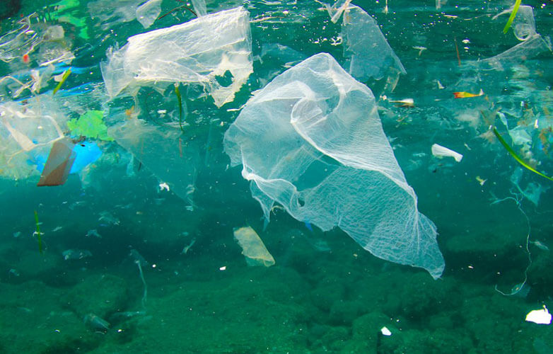 water pollution 782x500 1